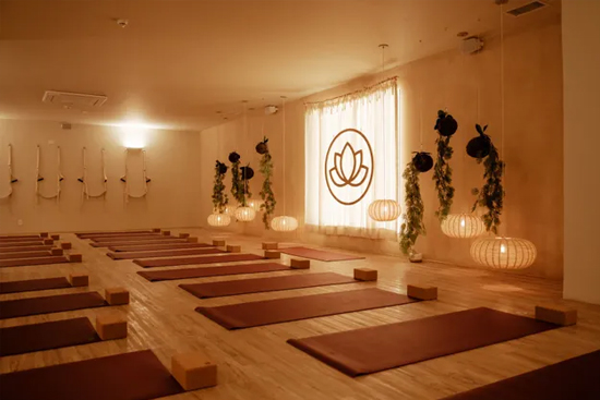 Sala Vidya Sala Vidya